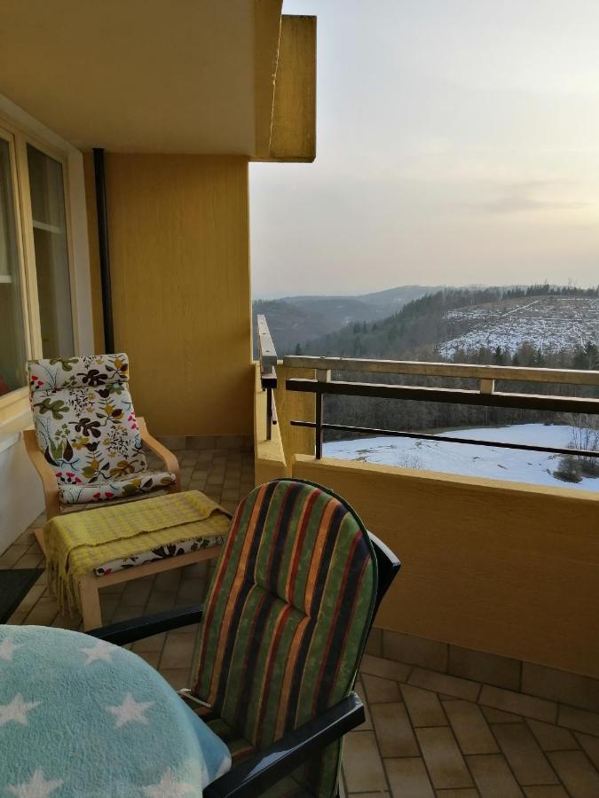 App 342 Gemuetlich Und Mit Weitblick Apartment Braunlage Ngoại thất bức ảnh